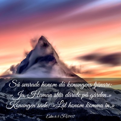 Picture 03 - Ester 6:5 SV1917 - Så svarade honom då konungens tjänare: »Ja, - Bible Verse Picture