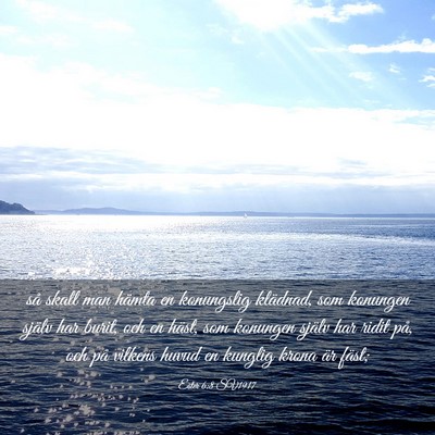 Picture 03 - Ester 6:8 SV1917 - så skall man hämta en konungslig klädnad, som - Bible Verse Picture