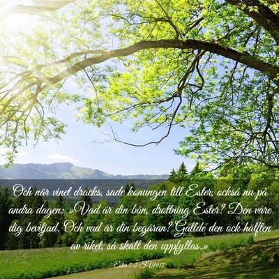 Picture 03 - Ester 7:2 SV1917 - Och när vinet dracks, sade konungen till Ester, - Bible Verse Picture