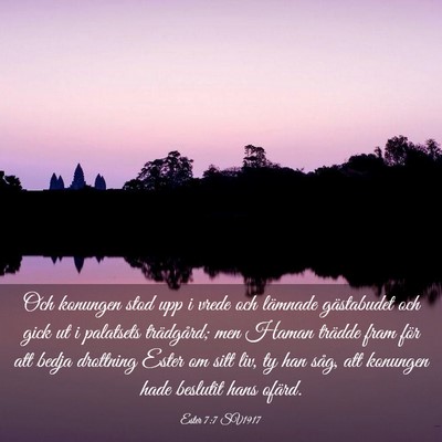 Picture 03 - Ester 7:7 SV1917 - Och konungen stod upp i vrede och lämnade - Bible Verse Picture