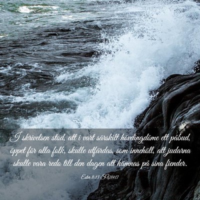 Picture 03 - Ester 8:13 SV1917 - I skrivelsen stod, att i vart särskilt - Bible Verse Picture