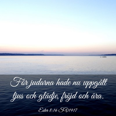Picture 03 - Ester 8:16 SV1917 - För judarna hade nu uppgått ljus och glädje, - Bible Verse Picture