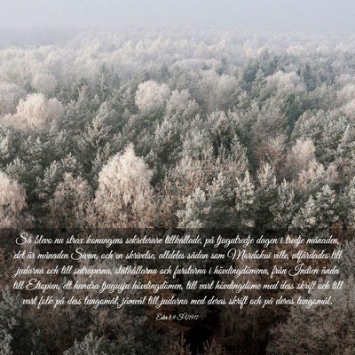 Picture 03 - Ester 8:9 SV1917 - Så blevo nu strax konungens sekreterare - Bible Verse Picture
