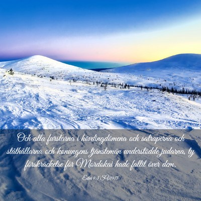 Picture 03 - Ester 9:3 SV1917 - Och alla furstarna i hövdingdömena och - Bible Verse Picture