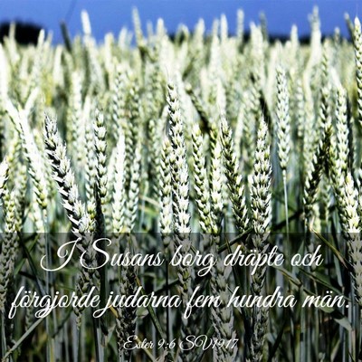 Picture 03 - Ester 9:6 SV1917 - I Susans borg dräpte och förgjorde judarna fem - Bible Verse Picture