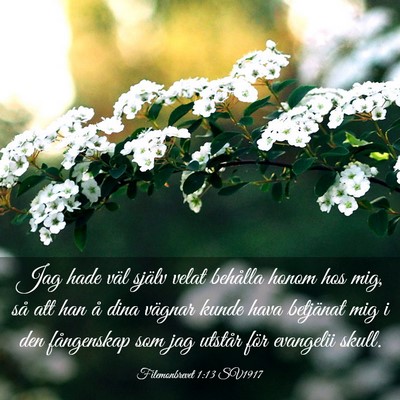 Picture 03 - Filemonbrevet 1:13 SV1917 - Jag hade väl själv velat behålla honom hos - Bible Verse Picture