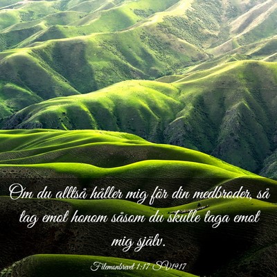 Picture 03 - Filemonbrevet 1:17 SV1917 - Om du alltså håller mig för din medbroder, så - Bible Verse Picture