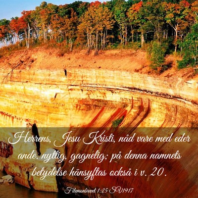 Picture 03 - Filemonbrevet 1:25 SV1917 - Herrens, Jesu Kristi, nåd vare med eder ande. - Bible Verse Picture