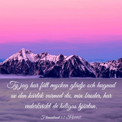 Picture 03 - Filemonbrevet 1:7 SV1917 - Ty jag har fått mycken glädje och hugnad av den - Bible Verse Picture