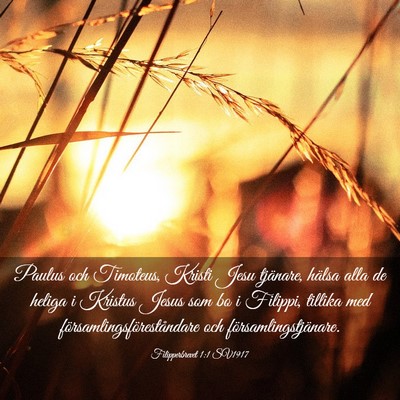 Picture 03 - Filipperbrevet 1:1 SV1917 - Paulus och Timoteus, Kristi Jesu tjänare, hälsa - Bible Verse Picture