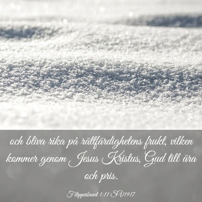 Picture 03 - Filipperbrevet 1:11 SV1917 - och bliva rika på rättfärdighetens frukt, - Bible Verse Picture