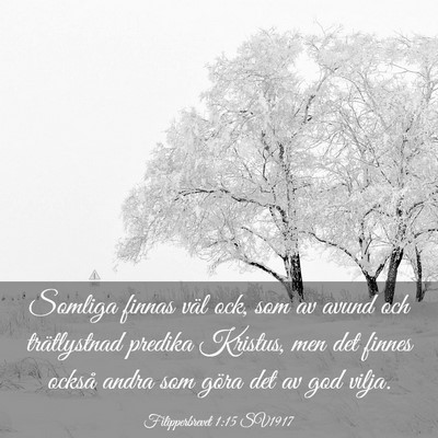 Picture 03 - Filipperbrevet 1:15 SV1917 - Somliga finnas väl ock, som av avund och - Bible Verse Picture
