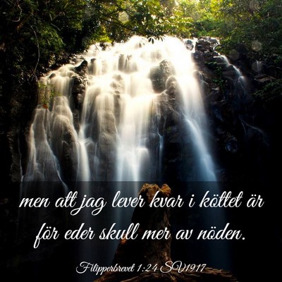 Picture 03 - Filipperbrevet 1:24 SV1917 - men att jag lever kvar i köttet är för eder - Bible Verse Picture