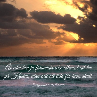 Picture 03 - Filipperbrevet 1:29 SV1917 - Åt eder har ju förunnats icke allenast att tro - Bible Verse Picture