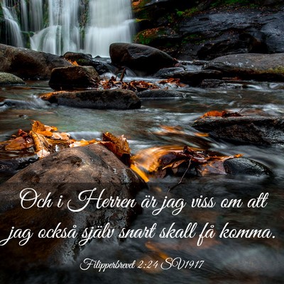 Picture 03 - Filipperbrevet 2:24 SV1917 - Och i Herren är jag viss om att jag också - Bible Verse Picture