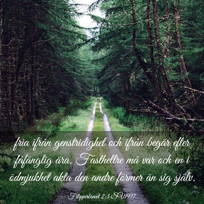 Picture 03 - Filipperbrevet 2:3 SV1917 - fria ifrån genstridighet och ifrån begär efter - Bible Verse Picture