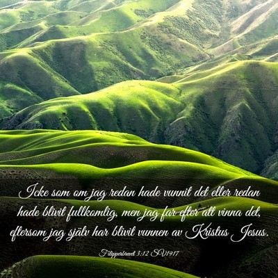 Picture 03 - Filipperbrevet 3:12 SV1917 - Icke som om jag redan hade vunnit det eller redan - Bible Verse Picture
