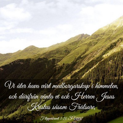 Picture 03 - Filipperbrevet 3:20 SV1917 - Vi åter hava vårt medborgarskap i himmelen, och - Bible Verse Picture