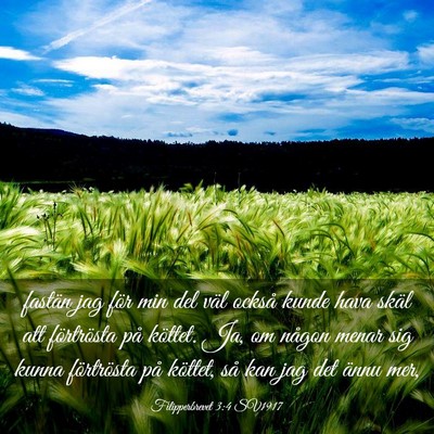 Picture 03 - Filipperbrevet 3:4 SV1917 - fastän jag för min del väl också kunde hava - Bible Verse Picture