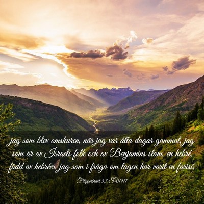 Picture 03 - Filipperbrevet 3:5 SV1917 - jag som blev omskuren, när jag var åtta dagar - Bible Verse Picture