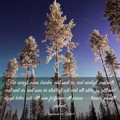 Picture 03 - Filipperbrevet 4:8 SV1917 - För övrigt, mina bröder, vad sant är, vad - Bible Verse Picture