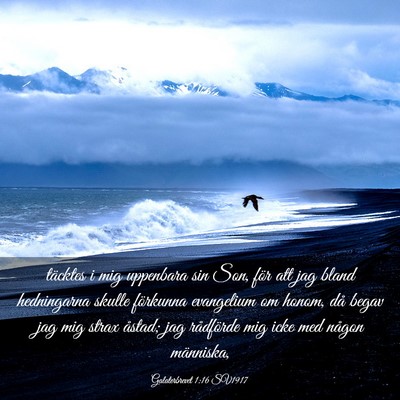 Picture 03 - Galaterbrevet 1:16 SV1917 - täcktes i mig uppenbara sin Son, för att jag - Bible Verse Picture