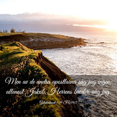 Picture 03 - Galaterbrevet 1:19 SV1917 - Men av de andra apostlarna såg jag ingen; - Bible Verse Picture