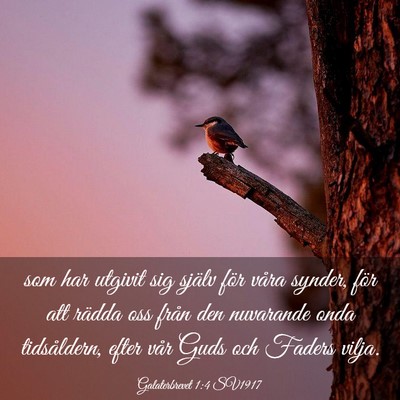 Picture 03 - Galaterbrevet 1:4 SV1917 - som har utgivit sig själv för våra synder, - Bible Verse Picture