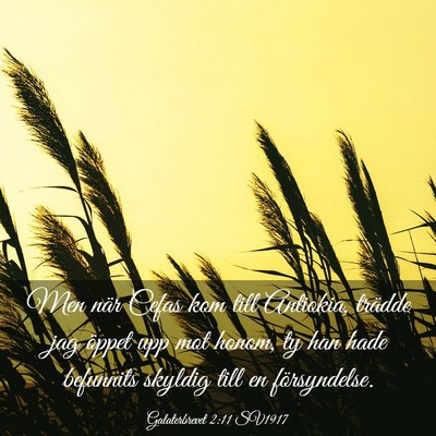 Picture 03 - Galaterbrevet 2:11 SV1917 - Men när Cefas kom till Antiokia, trädde jag - Bible Verse Picture
