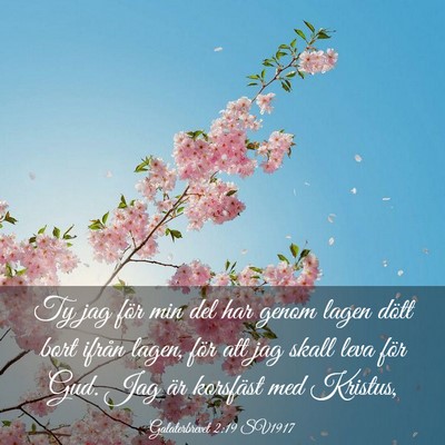 Picture 03 - Galaterbrevet 2:19 SV1917 - Ty jag för min del har genom lagen dött bort - Bible Verse Picture
