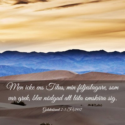 Picture 03 - Galaterbrevet 2:3 SV1917 - Men icke ens Titus, min följeslagare, som var - Bible Verse Picture