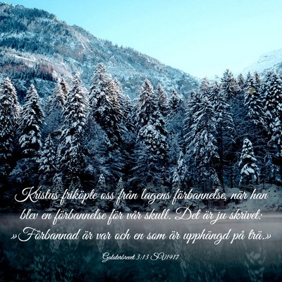 Picture 03 - Galaterbrevet 3:13 SV1917 - Kristus friköpte oss från lagens förbannelse, - Bible Verse Picture