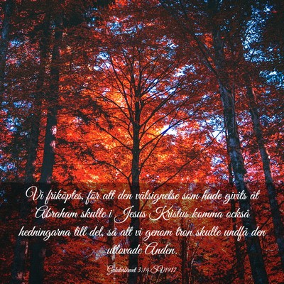 Picture 03 - Galaterbrevet 3:14 SV1917 - Vi friköptes, för att den välsignelse som hade - Bible Verse Picture