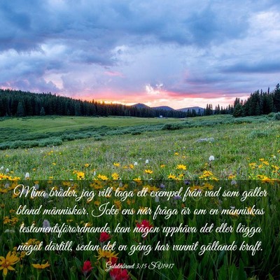 Picture 03 - Galaterbrevet 3:15 SV1917 - Mina bröder, jag vill taga ett exempel från vad - Bible Verse Picture