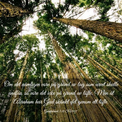Picture 03 - Galaterbrevet 3:18 SV1917 - Om det nämligen vore på grund av lag som arvet - Bible Verse Picture
