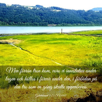 Picture 03 - Galaterbrevet 3:23 SV1917 - Men förrän tron kom, voro vi inneslutna under - Bible Verse Picture