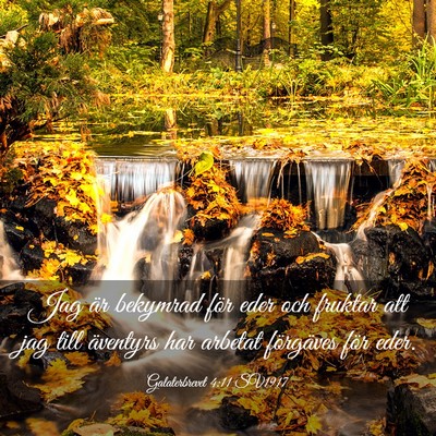 Picture 03 - Galaterbrevet 4:11 SV1917 - Jag är bekymrad för eder och fruktar att jag - Bible Verse Picture