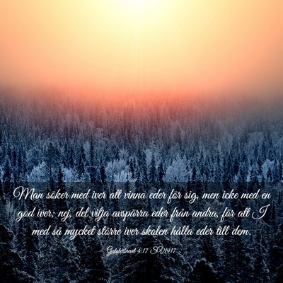Picture 03 - Galaterbrevet 4:17 SV1917 - Man söker med iver att vinna eder för sig, men - Bible Verse Picture