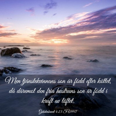 Picture 03 - Galaterbrevet 4:23 SV1917 - Men tjänstekvinnans son är född efter köttet, - Bible Verse Picture