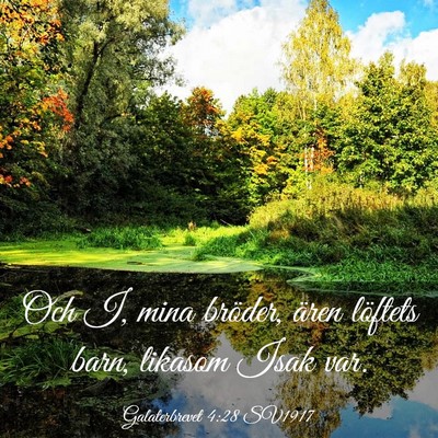 Picture 03 - Galaterbrevet 4:28 SV1917 - Och I, mina bröder, ären löftets barn, likasom - Bible Verse Picture