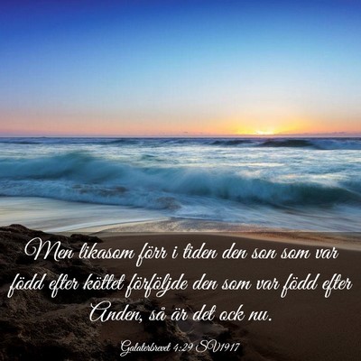 Picture 03 - Galaterbrevet 4:29 SV1917 - Men likasom förr i tiden den son som var född - Bible Verse Picture