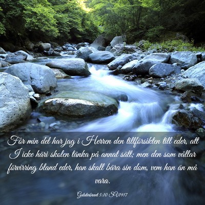 Picture 03 - Galaterbrevet 5:10 SV1917 - För min del har jag i Herren den tillförsikten - Bible Verse Picture
