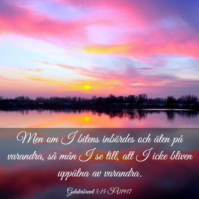 Picture 03 - Galaterbrevet 5:15 SV1917 - Men om I bitens inbördes och äten på varandra, - Bible Verse Picture