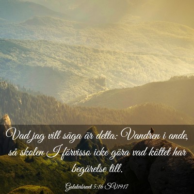 Picture 03 - Galaterbrevet 5:16 SV1917 - Vad jag vill säga är detta: Vandren i ande, så - Bible Verse Picture