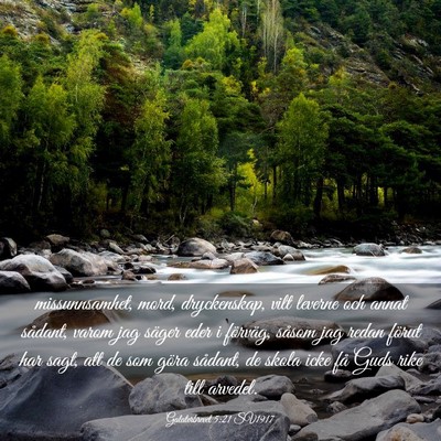 Picture 03 - Galaterbrevet 5:21 SV1917 - missunnsamhet, mord, dryckenskap, vilt leverne - Bible Verse Picture