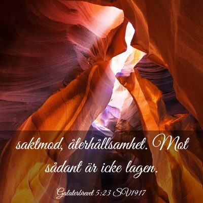 Picture 03 - Galaterbrevet 5:23 SV1917 - saktmod, återhållsamhet. Mot sådant är icke - Bible Verse Picture