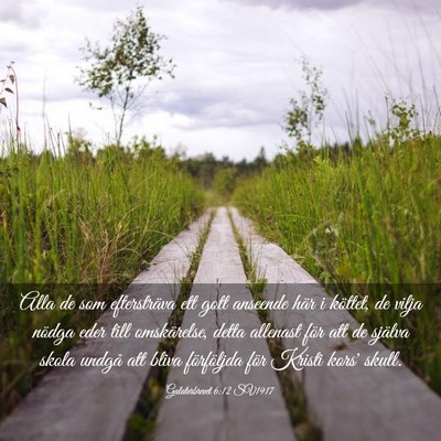 Picture 03 - Galaterbrevet 6:12 SV1917 - Alla de som eftersträva ett gott anseende här i - Bible Verse Picture