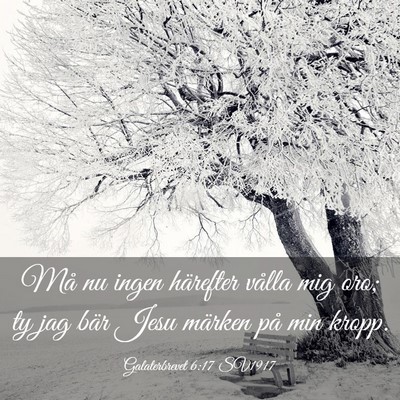 Picture 03 - Galaterbrevet 6:17 SV1917 - Må nu ingen härefter vålla mig oro; ty jag - Bible Verse Picture