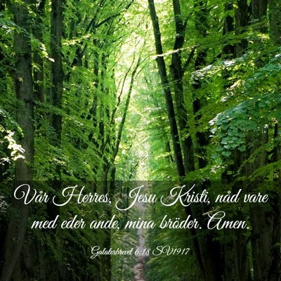 Picture 03 - Galaterbrevet 6:18 SV1917 - Vår Herres, Jesu Kristi, nåd vare med eder - Bible Verse Picture