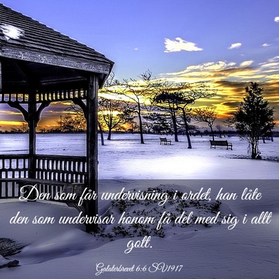 Picture 03 - Galaterbrevet 6:6 SV1917 - Den som får undervisning i ordet, han låte den - Bible Verse Picture